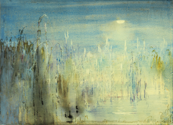 The Moon in the Mist