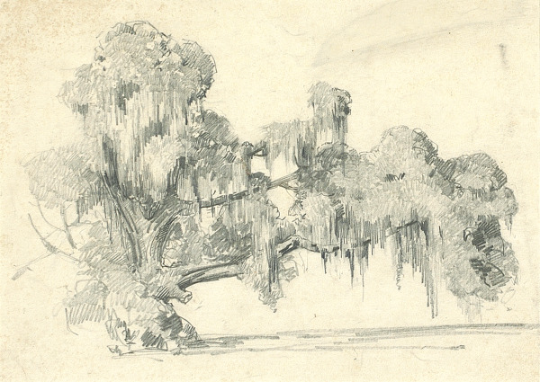 Live Oak with Spanish Moss