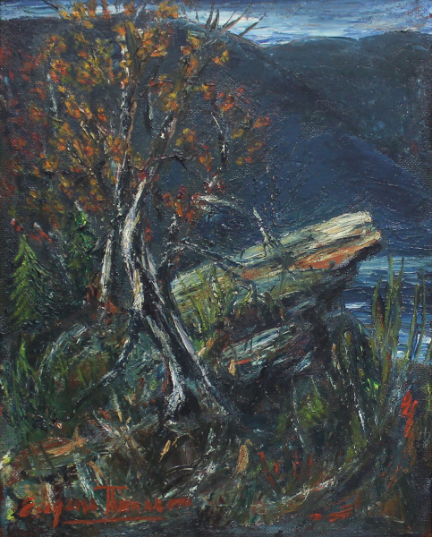 Lake Lure
