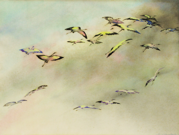 Wood Ibis at Dawn