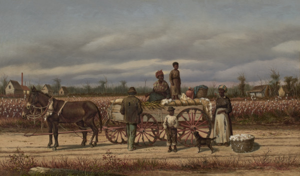 Noon Day Pause in the Cotton Field