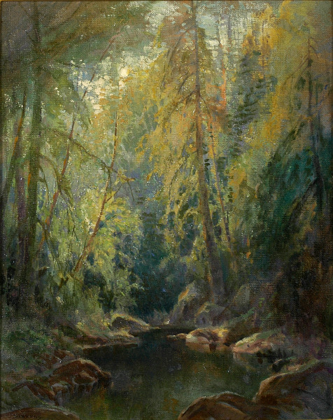 Woods and Stream