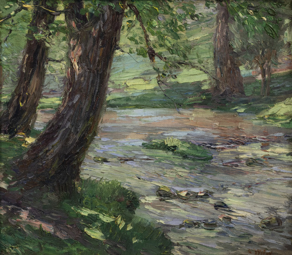 Woodland Stream