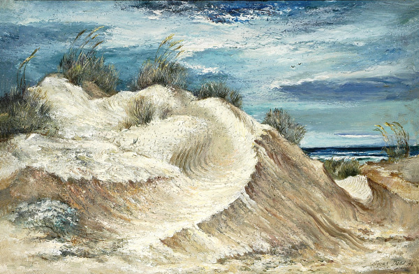 Seashell Dune