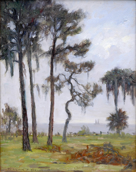 Pines Along the Gulf – New Orleans