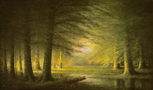 Woods Scene