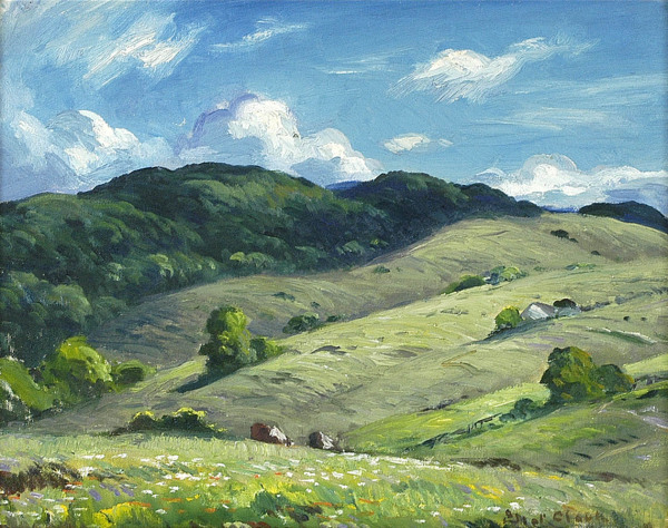 Blue Skies and Green Fields