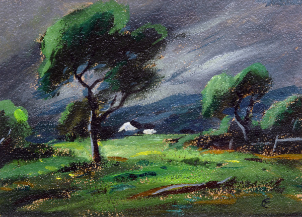 Storm, Virginia