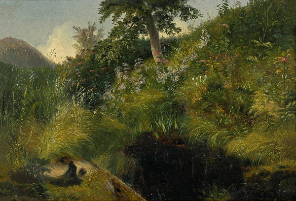 The Old Bog Hole