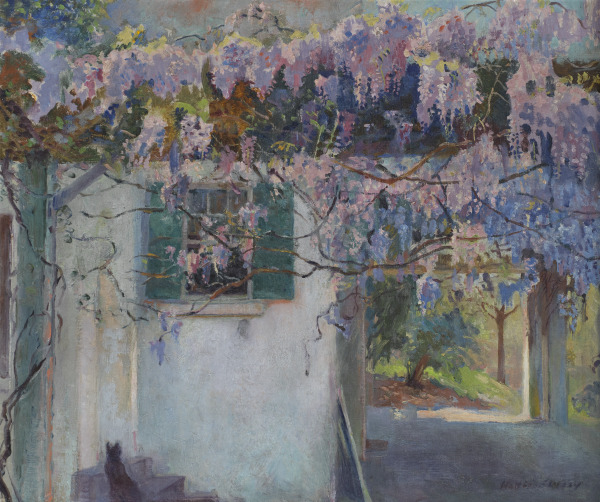 Wisteria