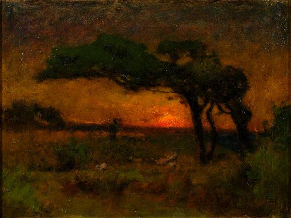 Evening Landscape