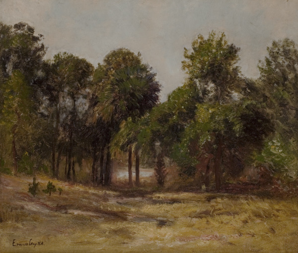 South Carolina Landscape
