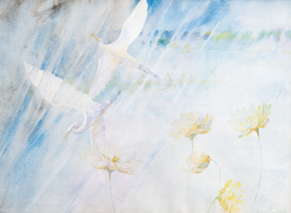 Great White Egrets in a July Shower