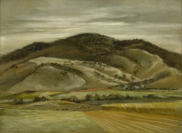 Wolf Fork Valley
