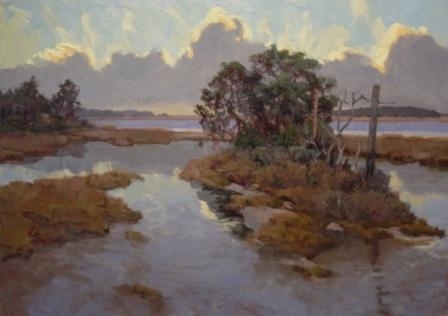 Looking to Bull Island