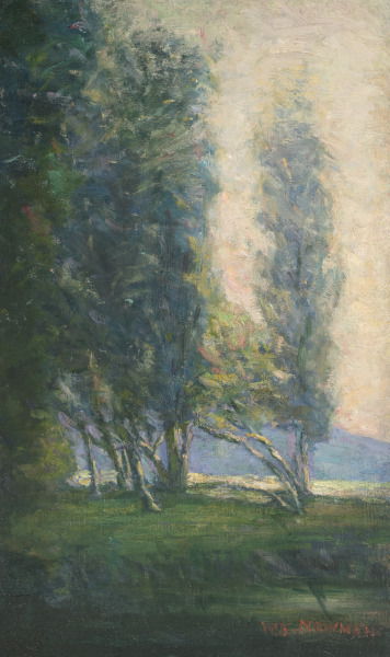 French Poplar Trees in the Mist