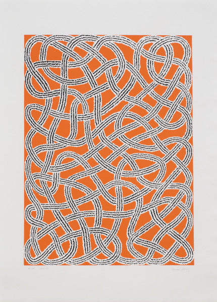 Study for nylon rug from Connections