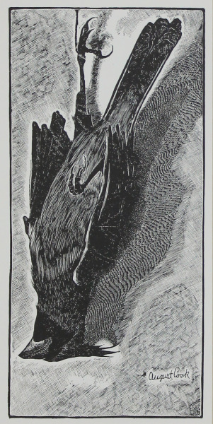 Cardinal
