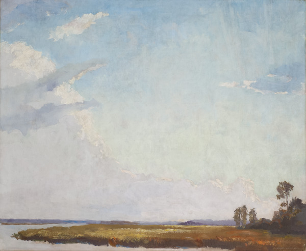 Marsh Landscape