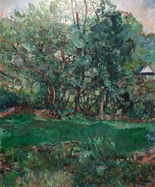 Landscape: Back Yard