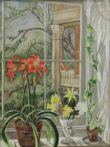 Amaryllis (The Window, Beaufort)