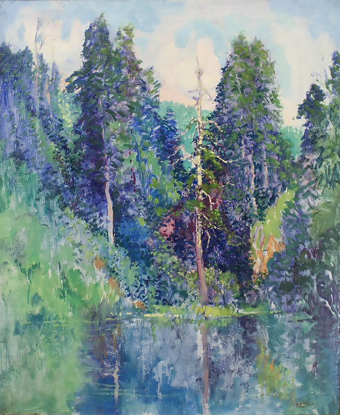 Wooded Landscape in the Great Smoky Mountains