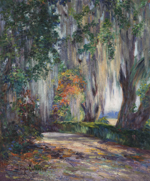 Savannah’s Majestic Oaks