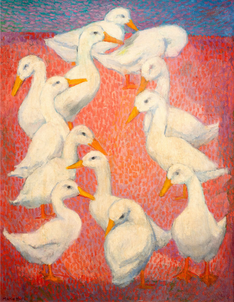 Ducks