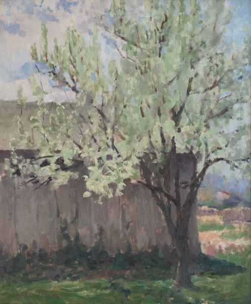 Pear Tree at Wolfe Studio