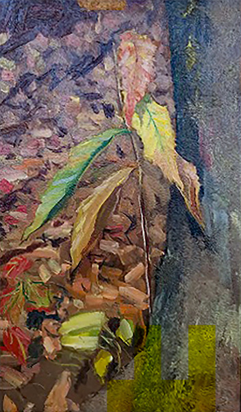 Still Life (Chestnut Sprouts)