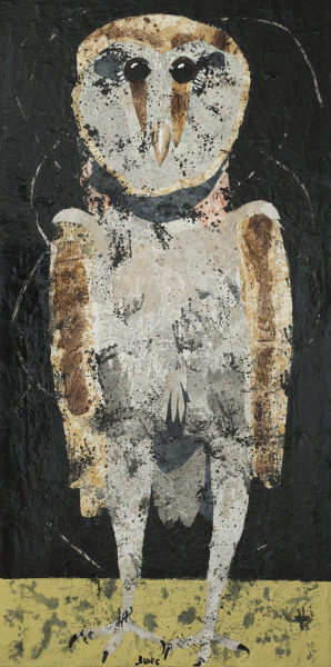 Barn Owl