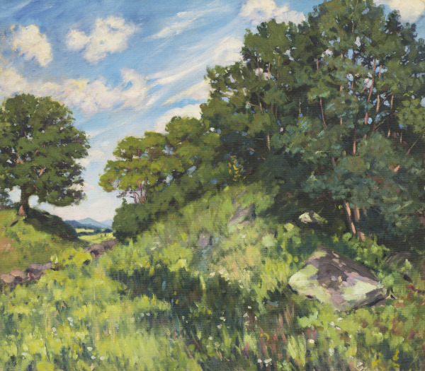 Summer Landscape