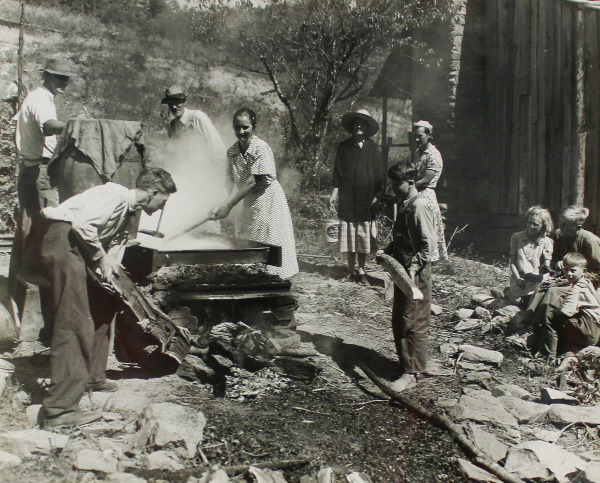 Sugar Cane: Cooking Molasses