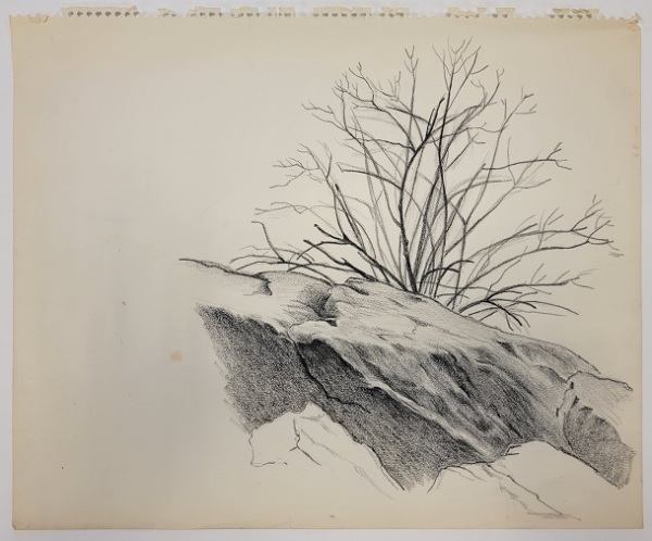 Untitled (bare tree behind rocky slate)
