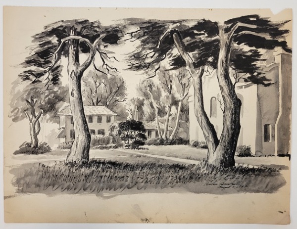 Untitled (buildings and sidewalks behind two big trees)