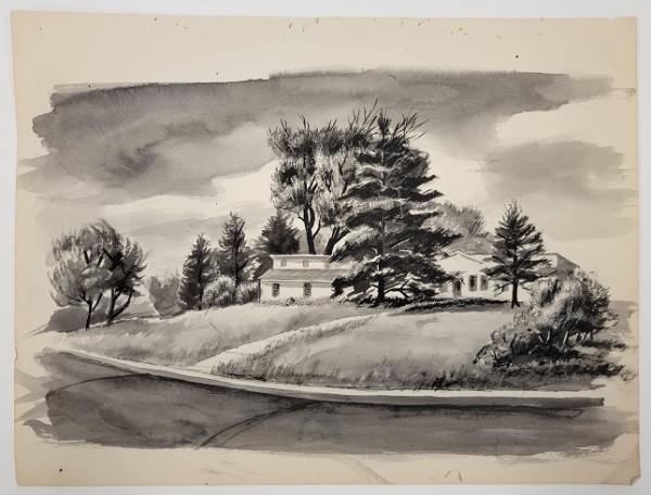 Untitled (home surrounded by pine trees and other trees)