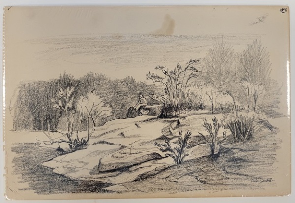 Untitled (figure sitting on a flat rock surrounded by shrubs and water)