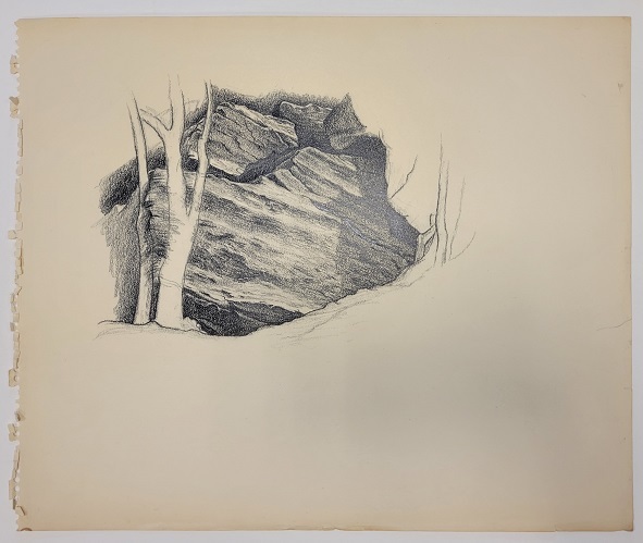 Untitled (big rocks and a tree)