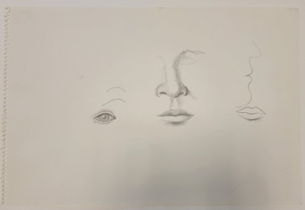 Untitled (two noses, two sets of lips and an eye)