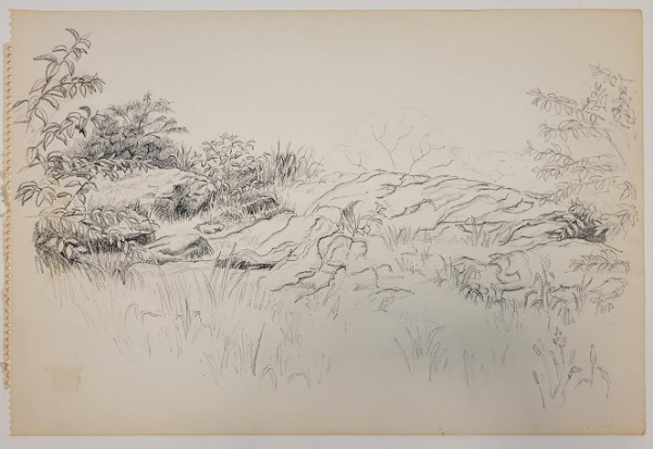 Untitled (dirt mound surrounded by grasses and shrubbery)