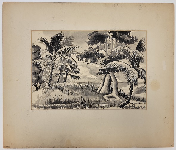 Untitled (palm and other trees lining grassy path)