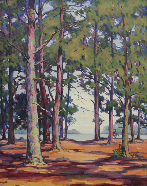 Carolina Pines