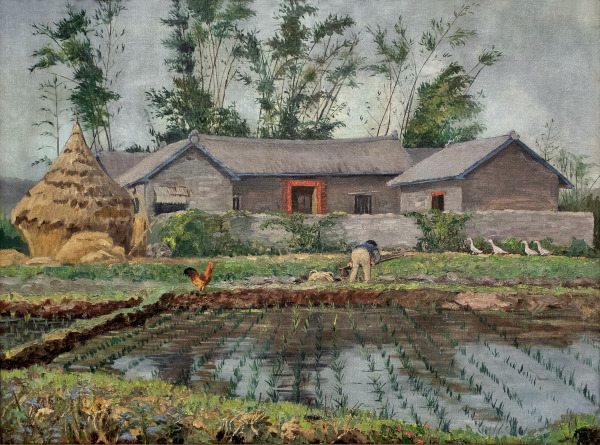 Untitled (Rice Field)
