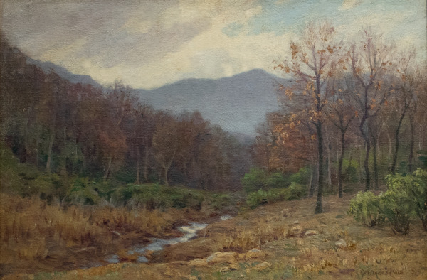 Tributary of the Pacolet