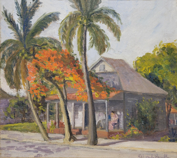 Poinciana and Palms