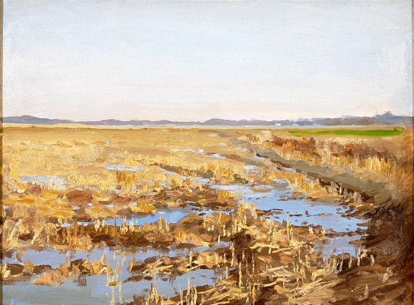 Untitled (Santee Marsh)