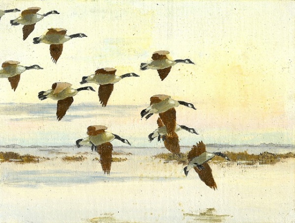 Geese at Sunset