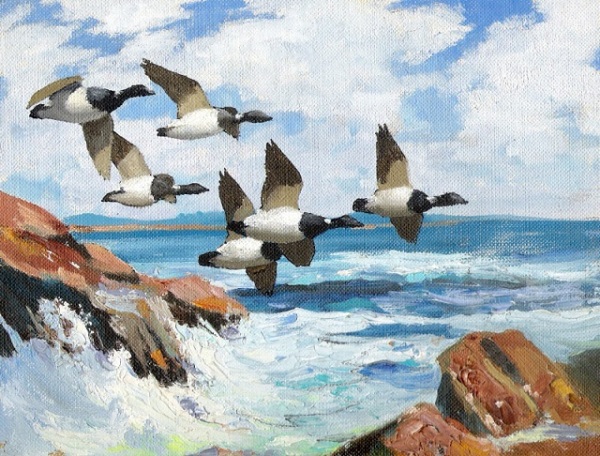Over Maine Coastline