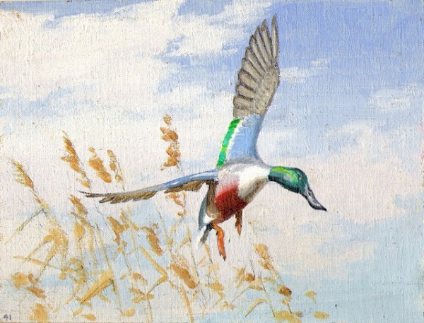 Single Flying Shoveler